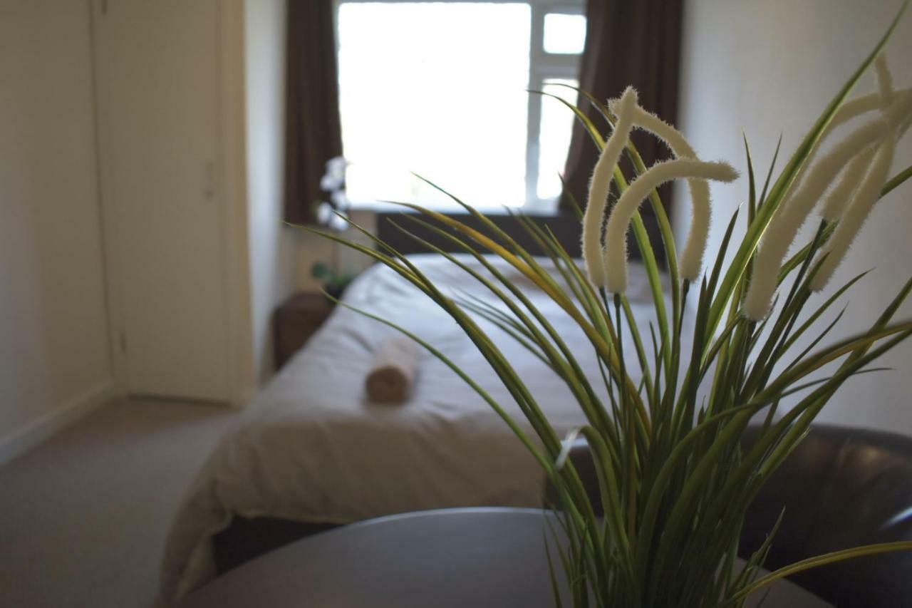 Home And A Stay Bristol Zewnętrze zdjęcie